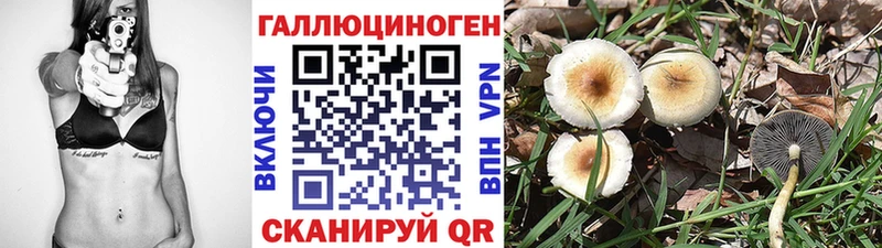 Галлюциногенные грибы Cubensis  Медынь 